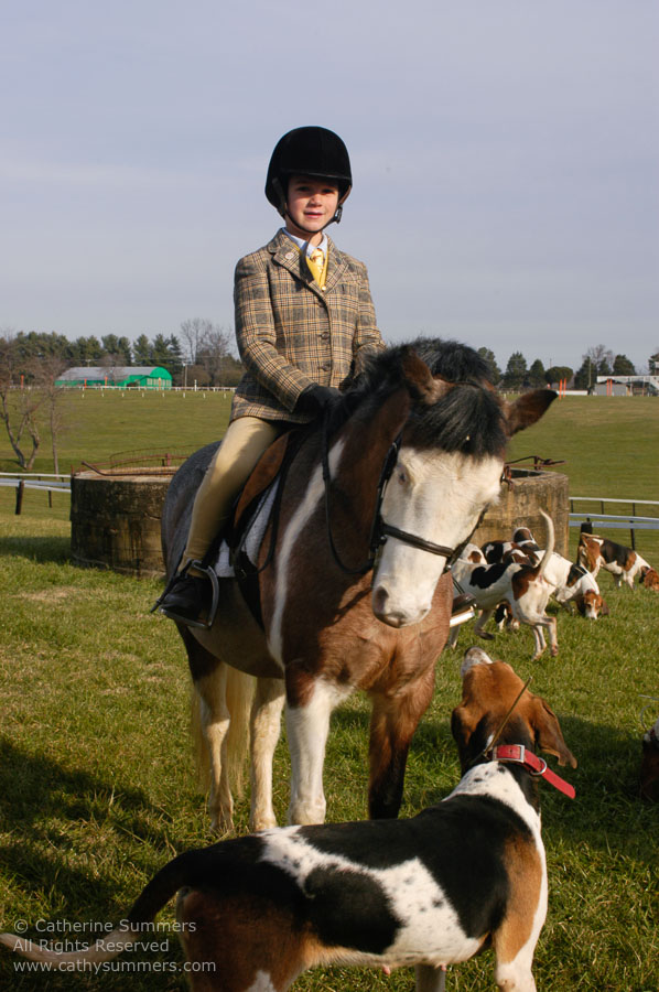 F2003_163: 2003, Farmington Hunt, Fox Hunting, Gibbie Evert, hounds