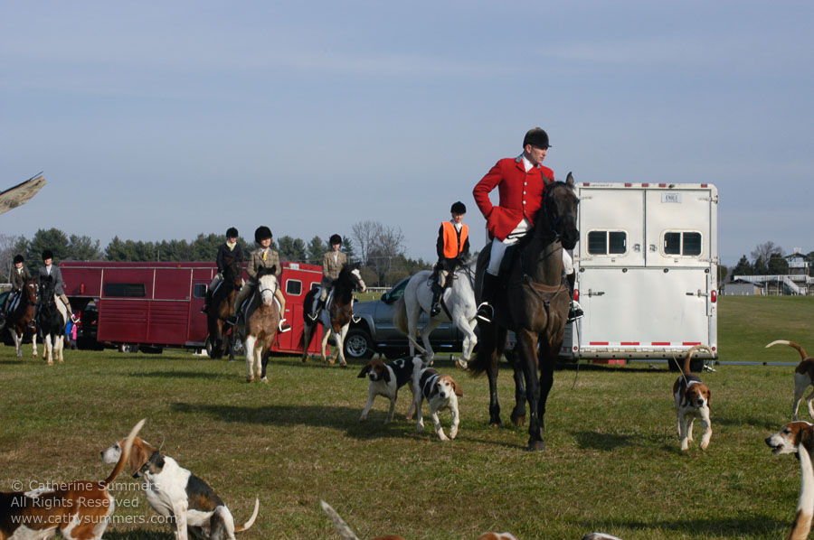 F2003_164: 2003, Farmington Hunt, Fox Hunting, Daron Beeney, hounds, Huntsman, Staff