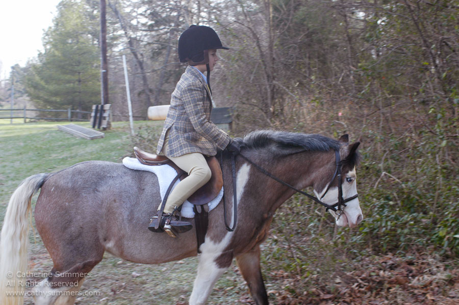 F2003_168: 2003, Farmington Hunt, Fox Hunting, Gibbie Evert