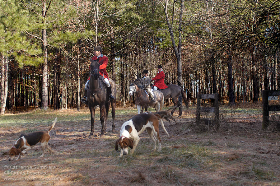 F2003_179: 2003, Farmington Hunt, Fox Hunting, Gibbie Evert, Daron Beeney, hounds, Huntsman