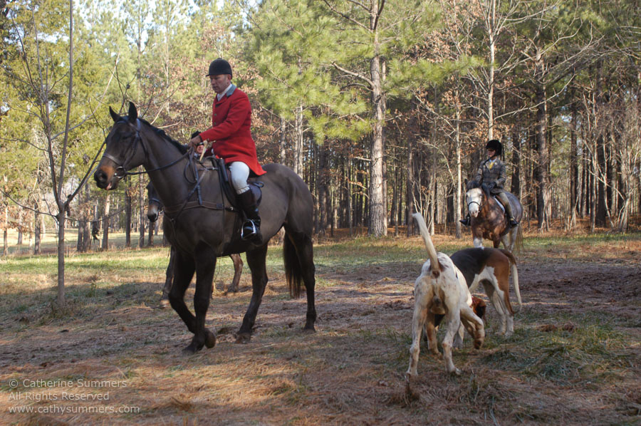 F2003_180: 2003, Farmington Hunt, Fox Hunting, Gibbie Evert, Daron Beeney, hounds, Huntsman