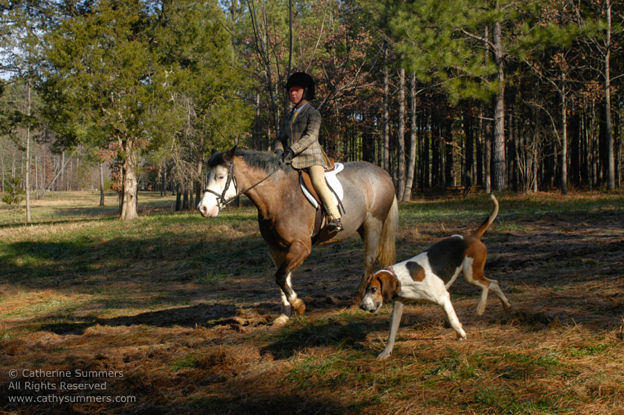 F2003_181: 2003, Farmington Hunt, Fox Hunting, Gibbie Evert