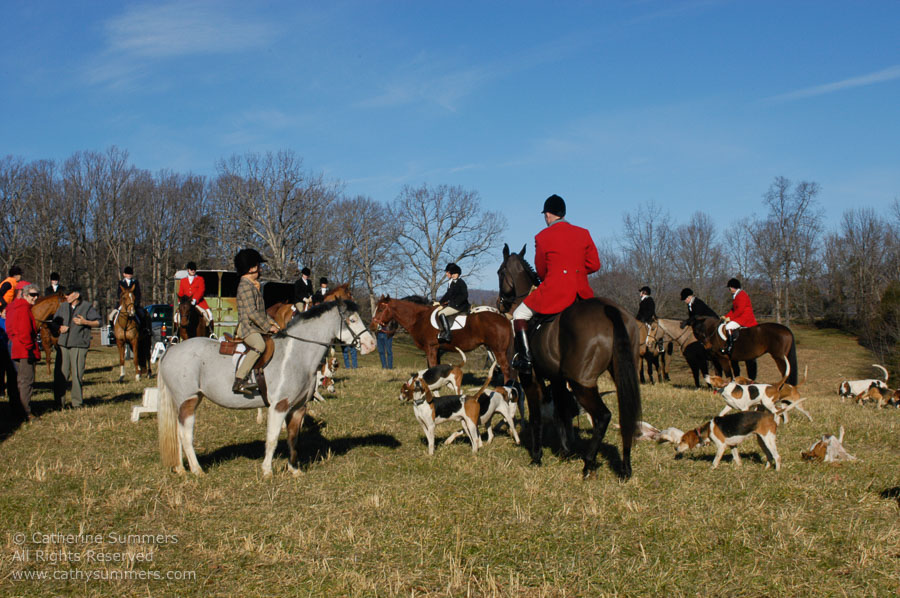 F2003_205: 2003, Farmington Hunt, Fox Hunting
