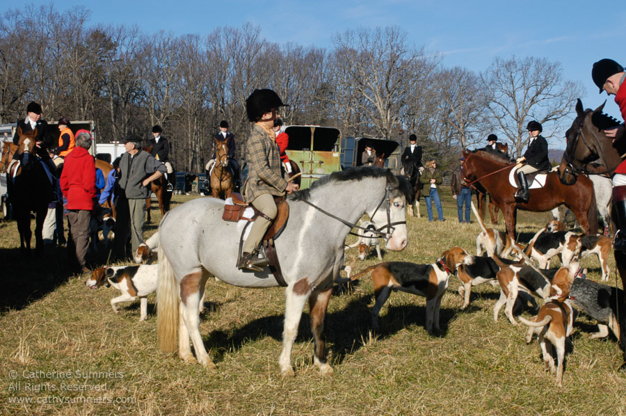 F2003_206: 2003, Farmington Hunt, Fox Hunting