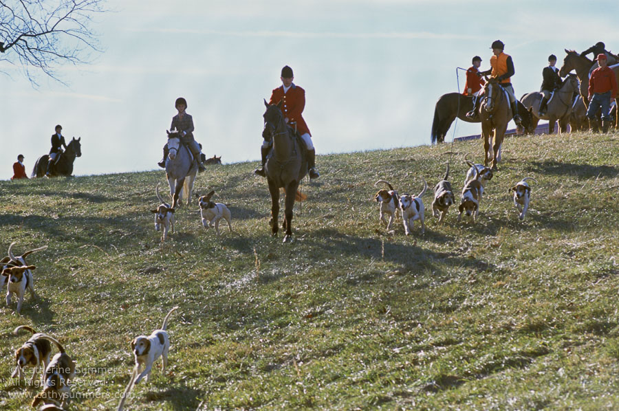 F2003_207: 2003, Farmington Hunt, Fox Hunting