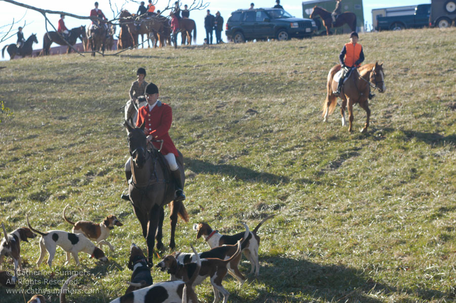 F2003_210: 2003, Farmington Hunt, Fox Hunting