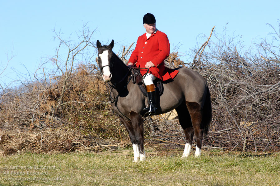 F2003_213: 2003, Farmington Hunt, Fox Hunting