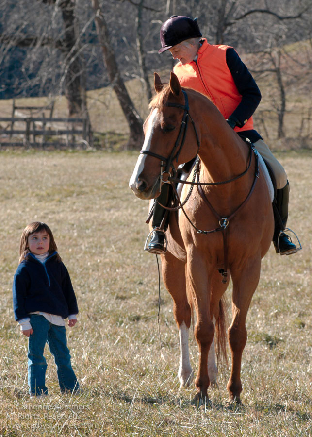 F2003_214: vertical, 2003, Farmington Hunt, Fox Hunting, Jill Summers