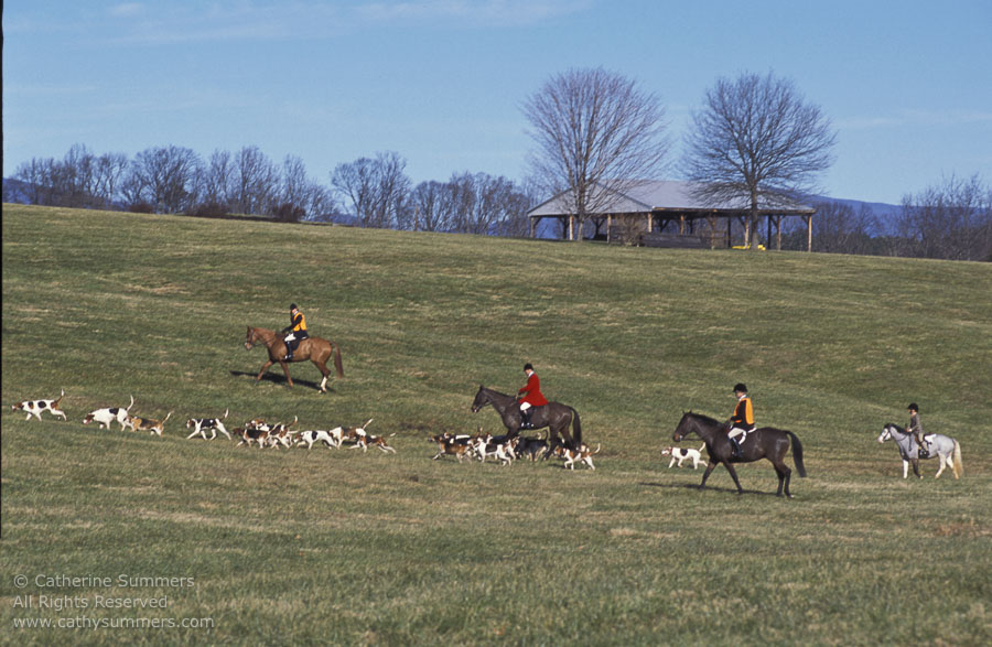 F2003_220: 2003, Farmington Hunt, Fox Hunting