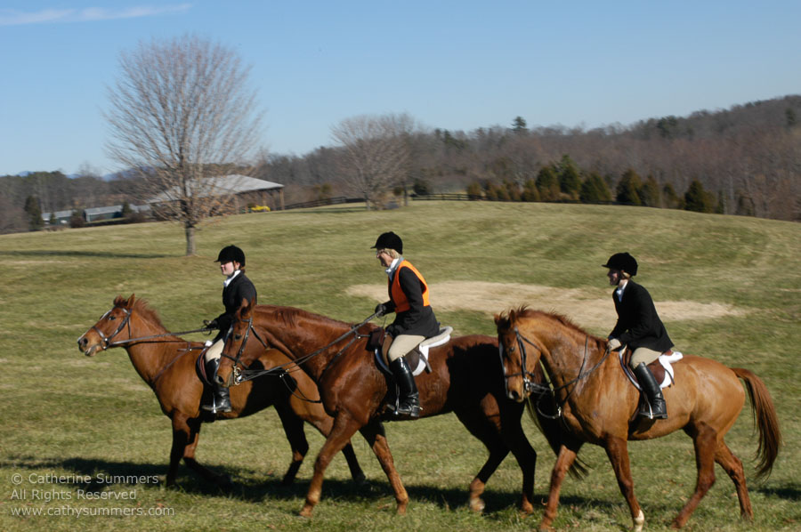 F2003_225: 2003, Farmington Hunt, Fox Hunting, Kay Butterfield