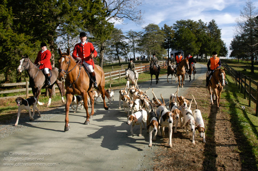F2004_1127_06: Farmington Hunt, Fox Hunting, Jill Summers, 2004, Tommy McCauley, Daron Beeney, hounds, Huntsman, Staff, Carolyn Chapman