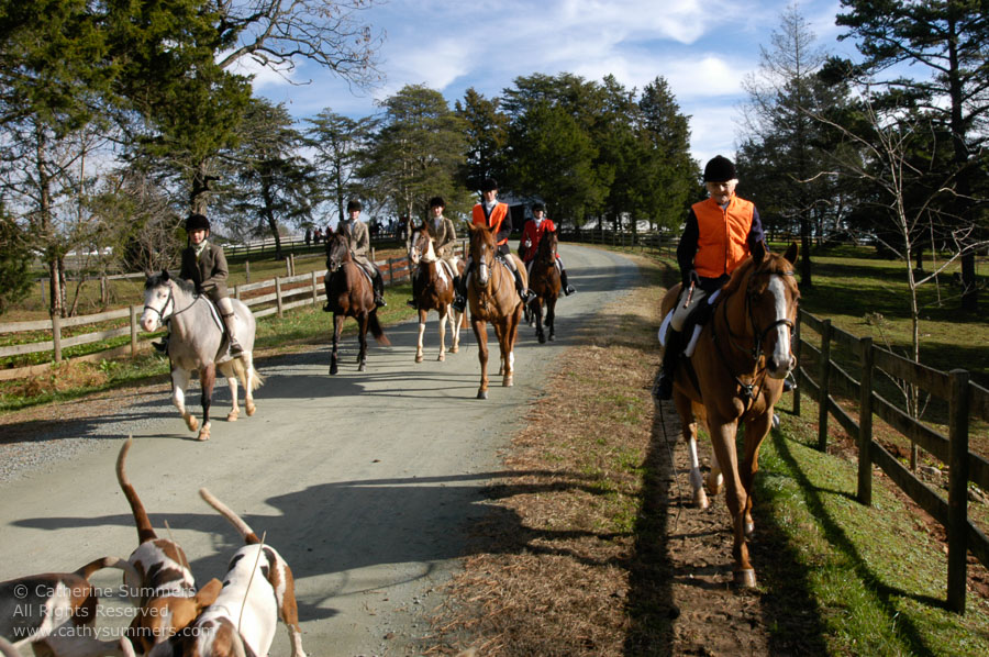 F2004_1127_07: Farmington Hunt, Fox Hunting, Jill Summers, 2004, Staff, Carolyn Chapman