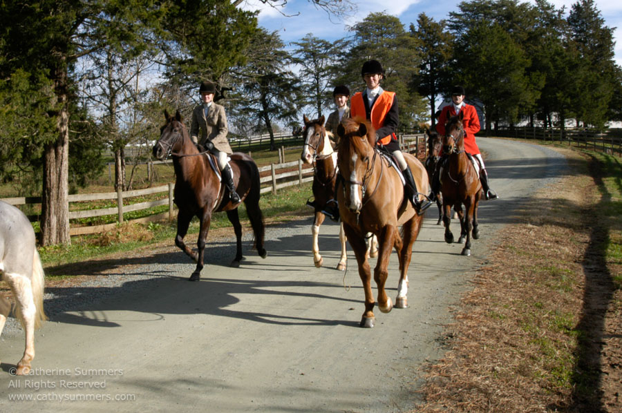 F2004_1127_08: Farmington Hunt, Fox Hunting, 2004, Carolyn Chapman