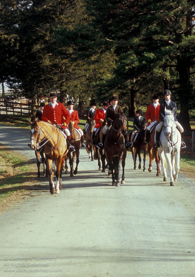 F2004_1127_12: Farmington Hunt, Fox Hunting, 2004