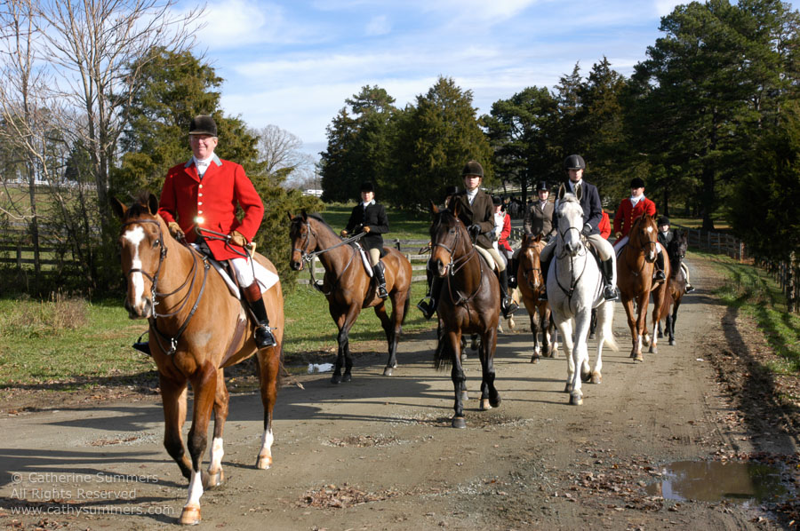 F2004_1127_14: Farmington Hunt, Fox Hunting, 2004, Tom Bishop