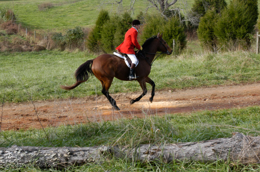 F2004_1127_17: Farmington Hunt, Fox Hunting, 2004, Bok Summers