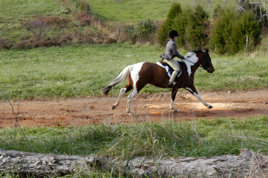 F2004_1127_18: Farmington Hunt, Fox Hunting, 2004, Addie Evert