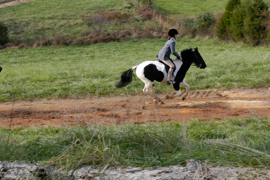 F2004_1127_19: Farmington Hunt, Fox Hunting, 2004, Stewart Summers