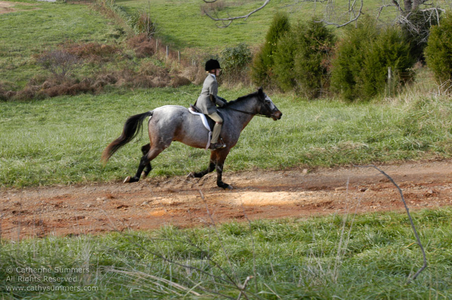 F2004_1127_20: Farmington Hunt, Fox Hunting, 2004, Jeannette Fellows