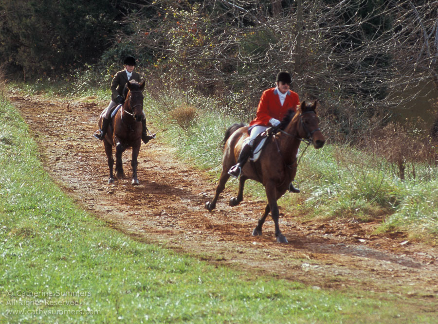 F2004_1127_21: Farmington Hunt, Fox Hunting, 2004