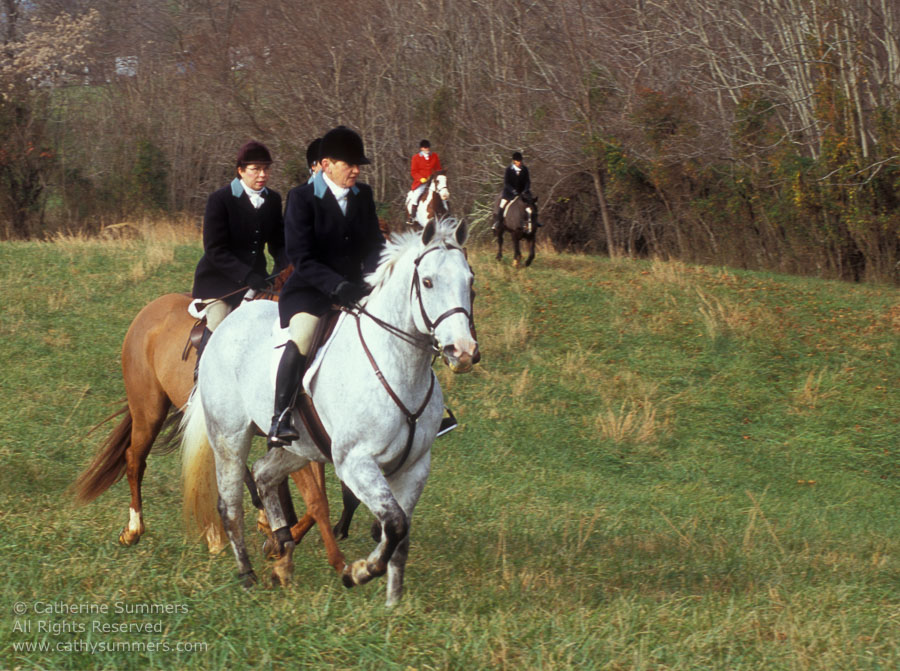 F2004_1127_23: Farmington Hunt, Fox Hunting, 2004, BJ Korol