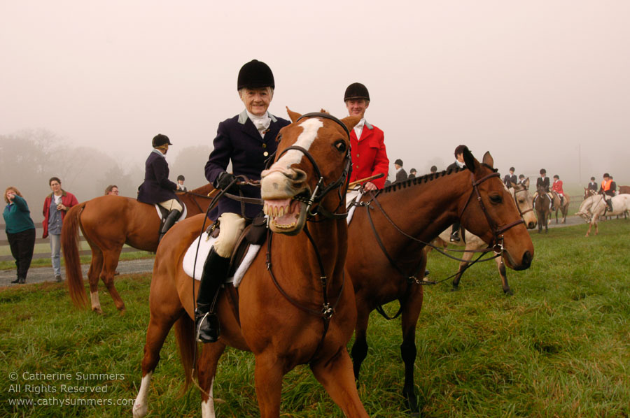 F2004_OH_09: Farmington Hunt, Fox Hunting, Jill Summers, 2004, Bok Summers