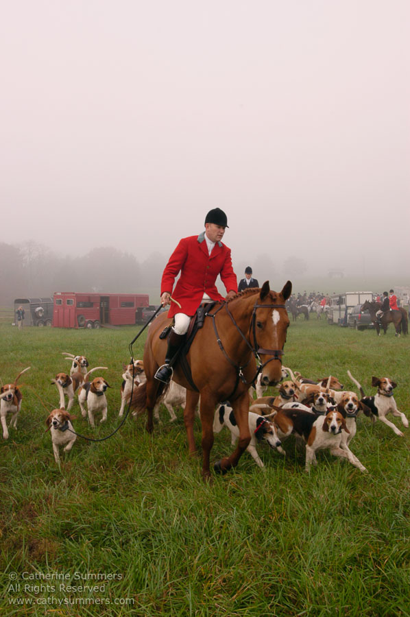 F2004_OH_16: Farmington Hunt, Fox Hunting, 2004, Daron Beeney, hounds, Huntsman