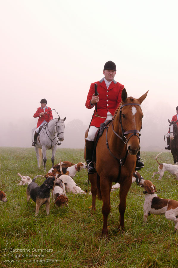 F2004_OH_20: Farmington Hunt, Fox Hunting, 2004, Daron Beeney, hounds