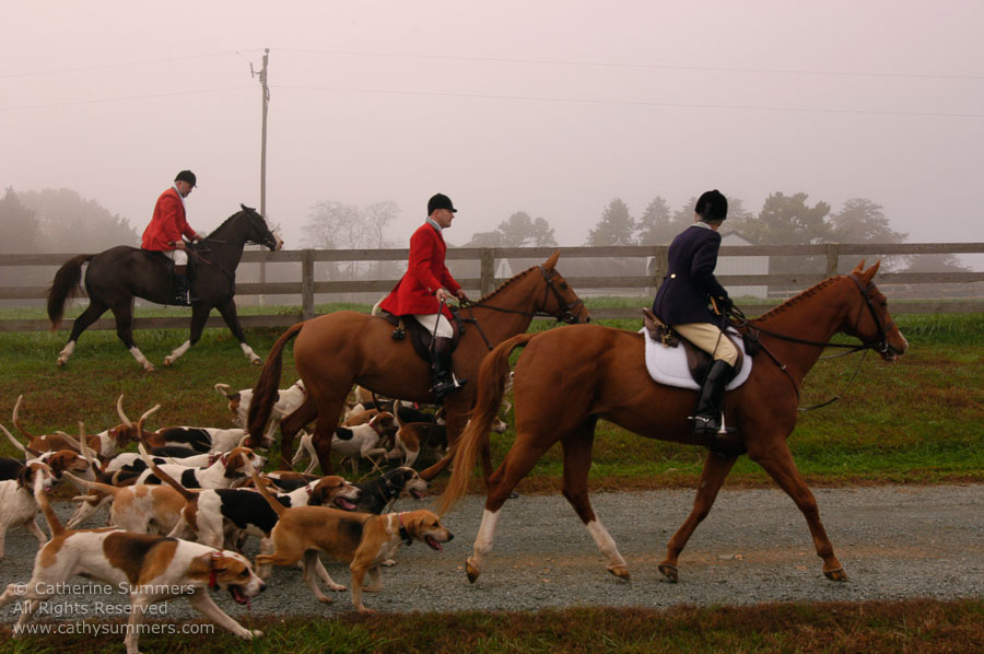 F2004_OH_22: Farmington Hunt, Fox Hunting, 2004