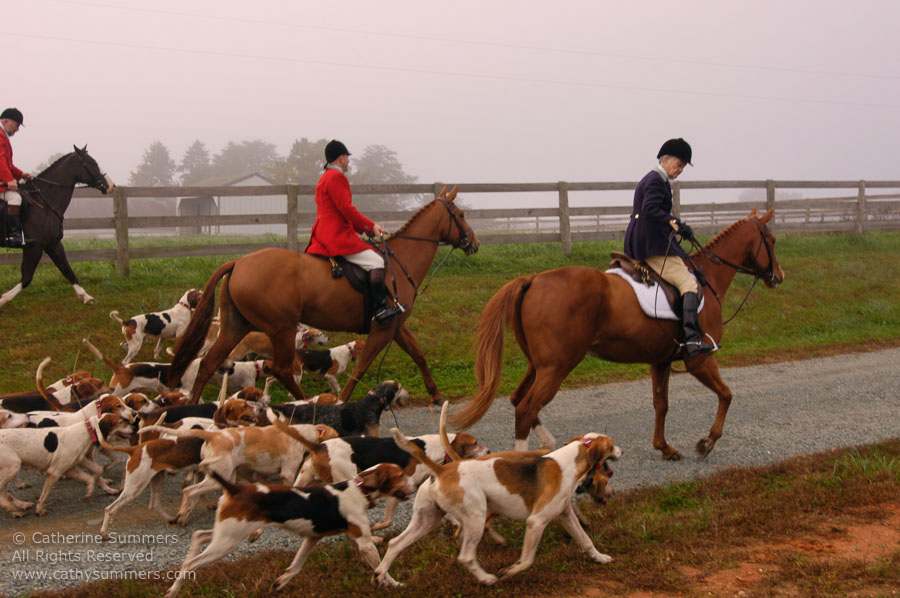 F2004_OH_23: horizontal, Farmington Hunt, Fox Hunting, Jill Summers, 2004