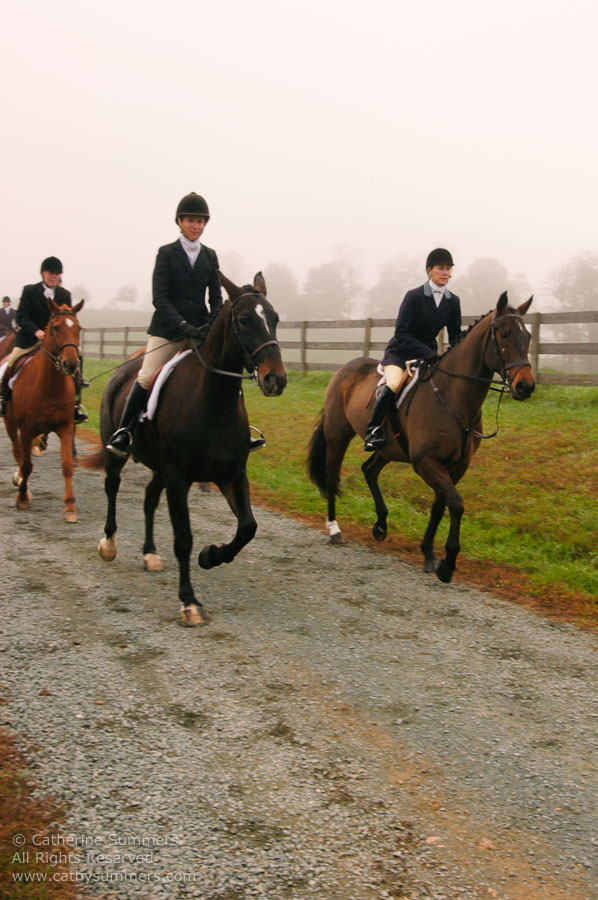 F2004_OH_34: Farmington Hunt, Fox Hunting, 2004