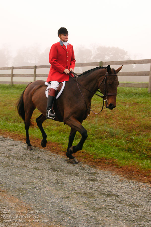 F2004_OH_37: Farmington Hunt, Fox Hunting, 2004