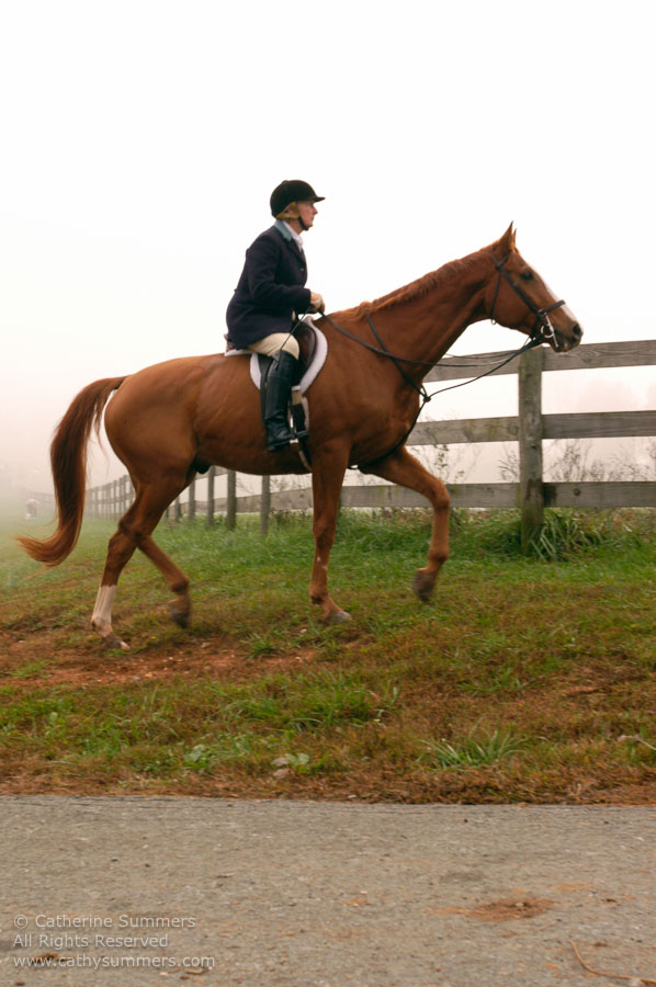 F2004_OH_42: Farmington Hunt, Fox Hunting, 2004
