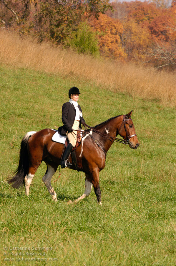 F2004_OH_53: Farmington Hunt, Fox Hunting, 2004