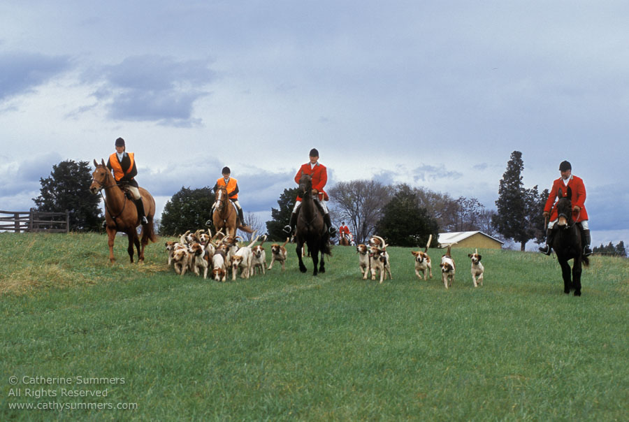 F2004_TH_07: Farmington Hunt, Fox Hunting, 2004