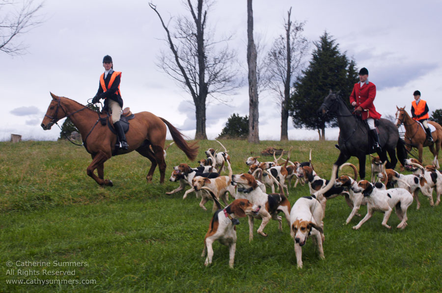 F2004_TH_08: Farmington Hunt, Fox Hunting, 2004