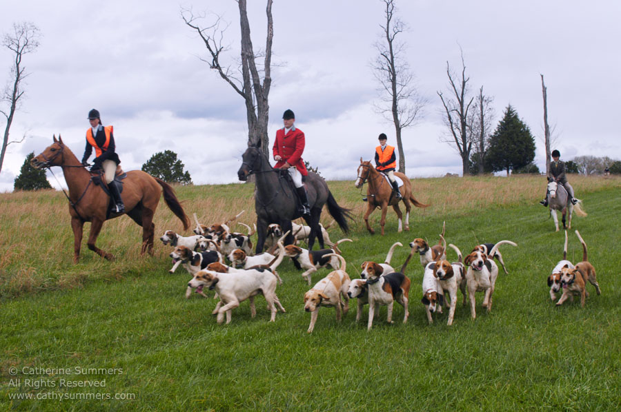 F2004_TH_09: Farmington Hunt, Fox Hunting, 2004
