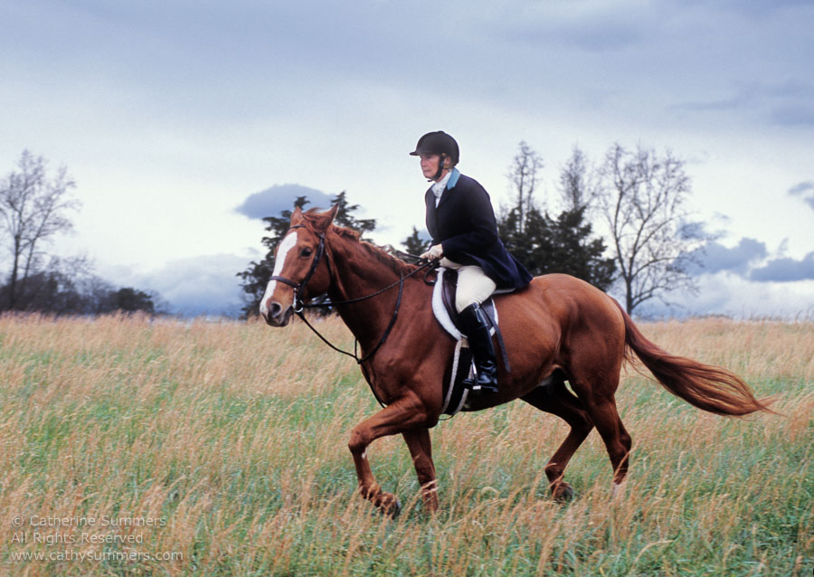 F2004_TH_12: Farmington Hunt, Fox Hunting, 2004