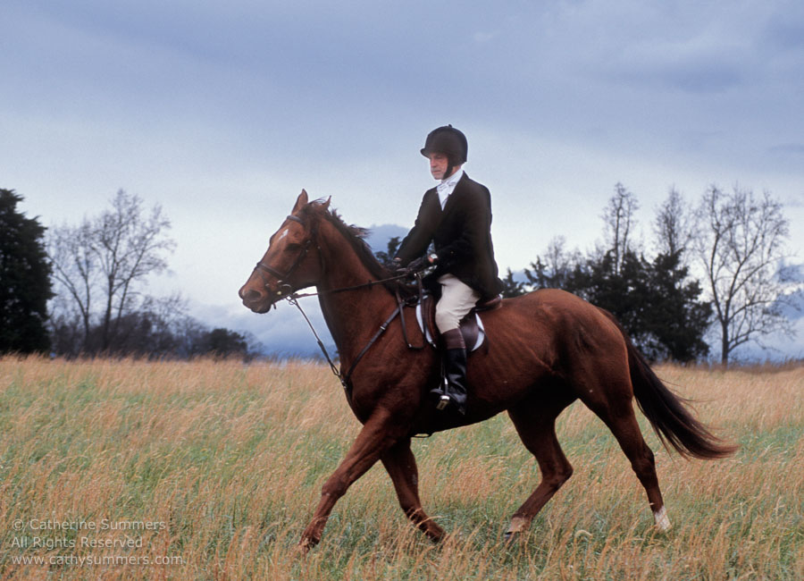 F2004_TH_13: Farmington Hunt, Fox Hunting, 2004