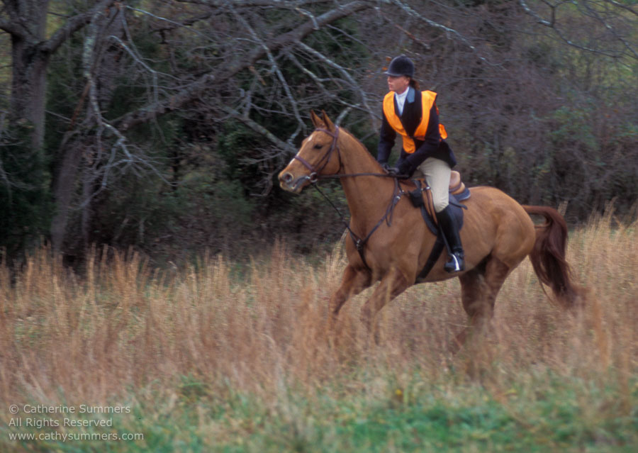 F2004_TH_27: Farmington Hunt, Fox Hunting, 2004, Allison Beeney, Whipper-In
