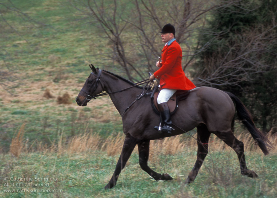 F2004_TH_28: Farmington Hunt, Fox Hunting, 2004, Daron Beeney, Huntsman