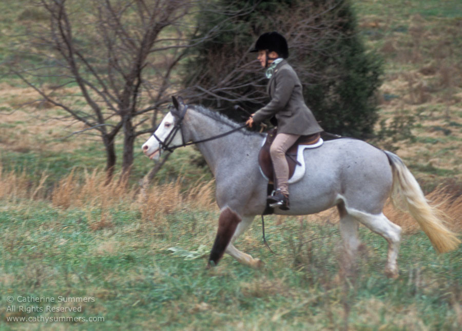 F2004_TH_29: Farmington Hunt, Fox Hunting, 2004