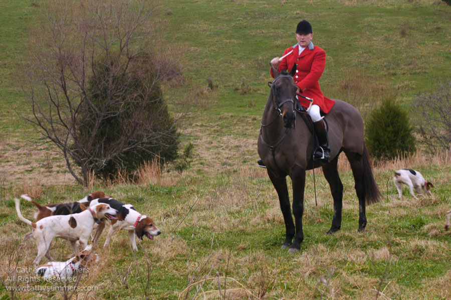 F2004_TH_31: Farmington Hunt, Fox Hunting, 2004, Daron Beeney, hounds, Huntsman