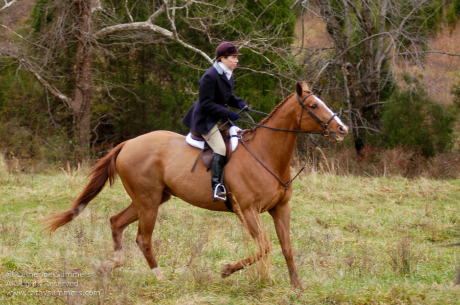 F2004_TH_39: Farmington Hunt, Fox Hunting, 2004