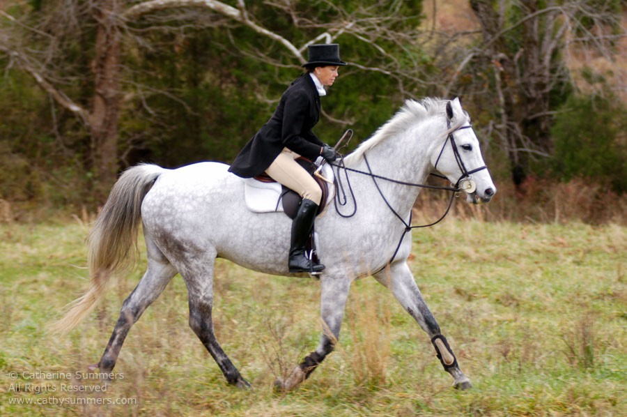 F2004_TH_40: Farmington Hunt, Fox Hunting, 2004