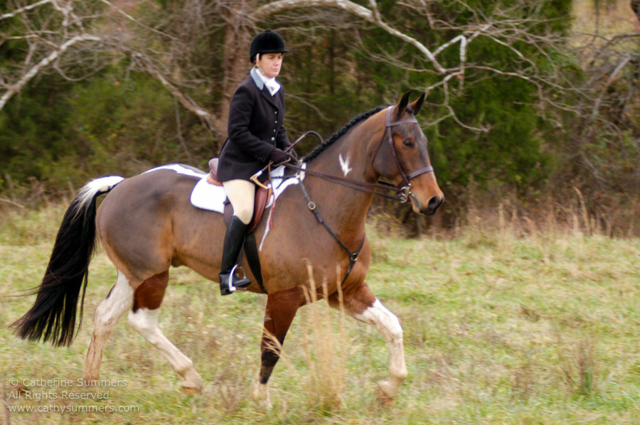 F2004_TH_50: Farmington Hunt, Fox Hunting, 2004