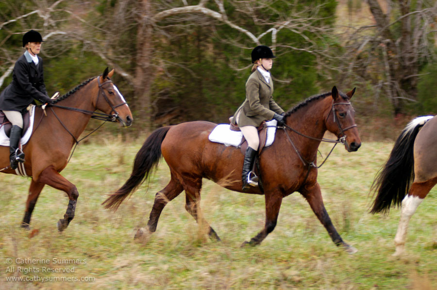 F2004_TH_51: Farmington Hunt, Fox Hunting, 2004, Jordan Summers < Fox Hunting