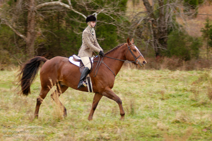 F2004_TH_52: Farmington Hunt, Fox Hunting, 2004