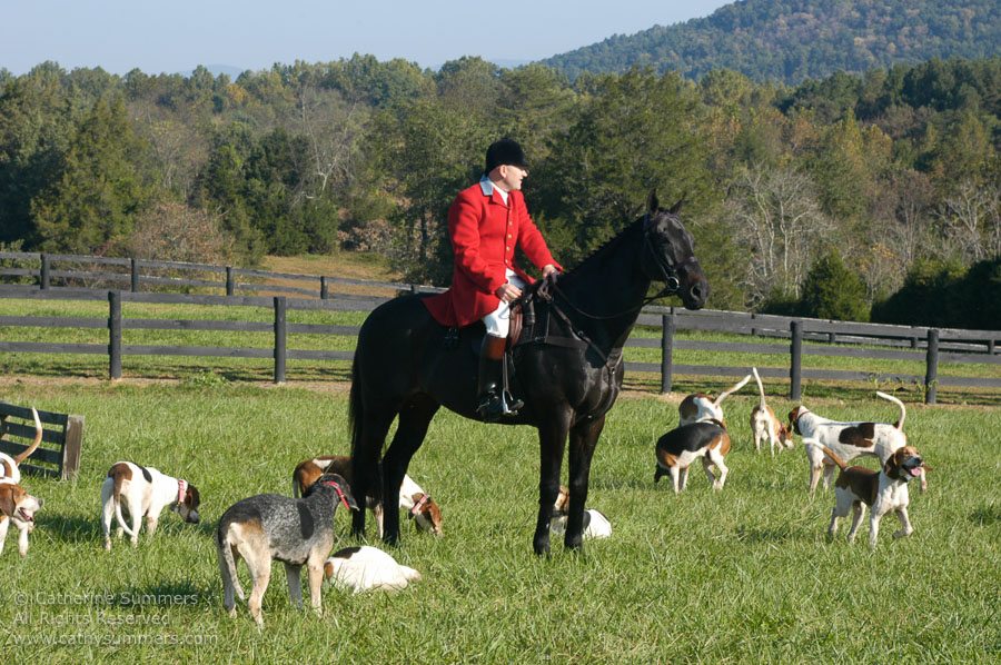 F2005_011: Farmington Hunt, Fox Hunting, 2005, Daron Beeney, hounds, Huntsman