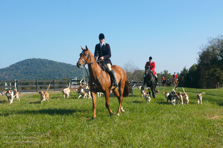 F2005_013: Farmington Hunt, Fox Hunting, 2005, Daron Beeney, hounds, Allison Beeney, Whipper-In